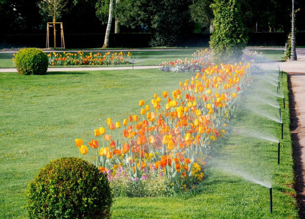 Watering the lawn using an automated water sprinkler system